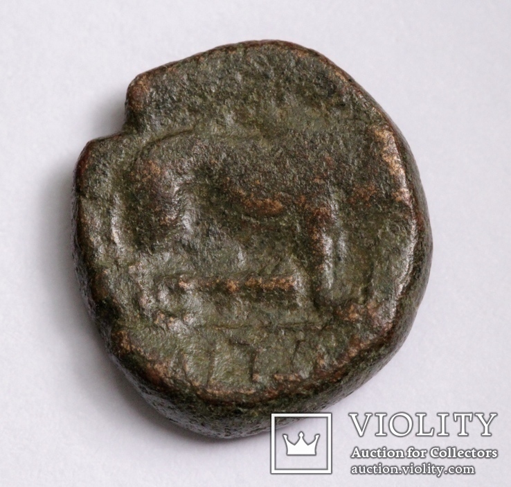 Македонія, м.Амфіполіс, 148-32/1 до н.е. – Геракл / лев (2), фото №8