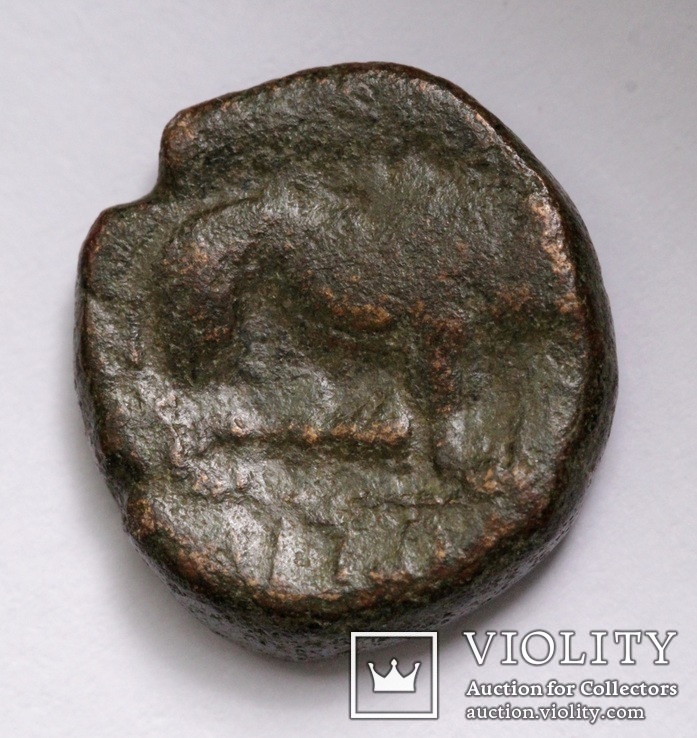 Македонія, м.Амфіполіс, 148-32/1 до н.е. – Геракл / лев (2), фото №9