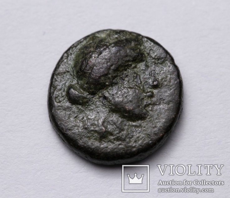 Троада, м.Александрія, 301-281 до н.е. – Аполлон Смінтей («Бог мишей»), фото №3