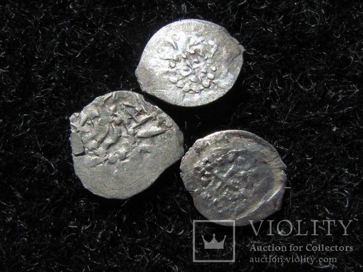 Монеты В. Ольгердовича 3-шт., фото №5