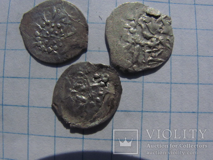 Монеты В. Ольгердовича 3-шт., фото №11