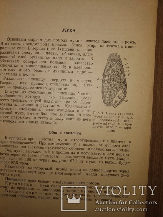 1948 Бакалейные товары. Торговля Товароведение Общепит, фото №10