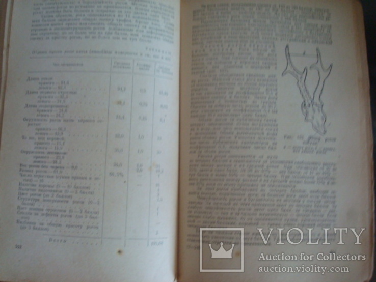 Справочник охотника, 1963г., фото №13