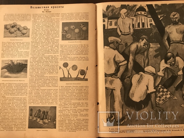 1926 Ялта, Гурзуф -Кузница здоровья. Красной Армии Красная Нива 37, фото №11