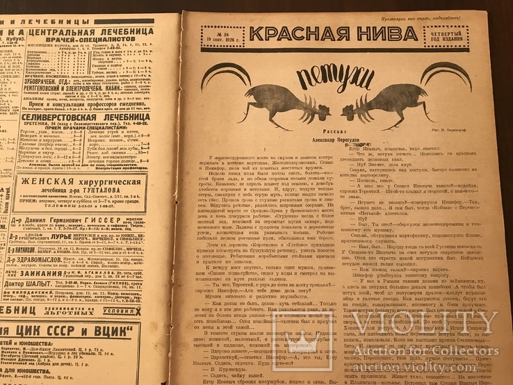 1926 Осенние манёвры Красной Армии, Красная Нива 38, фото №4