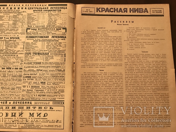 1926 Английская гравюра Красная Нива 46, фото №4