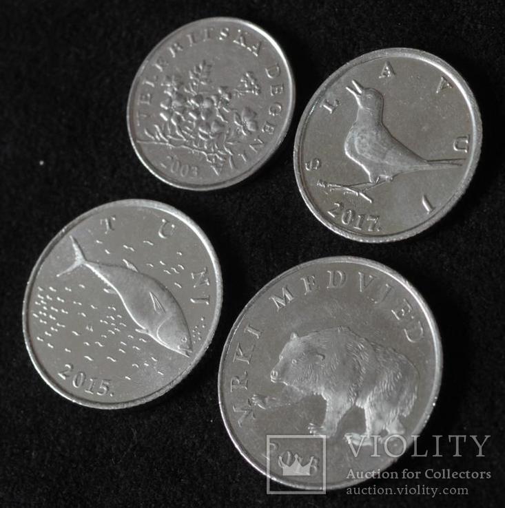 Набор монет Хорватии 50 липа, 1,2,5 куна (4 шт), фото №4