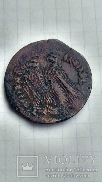 Єгипет, Птолемей ІІІ, або ІV, Æ 31, фото №3