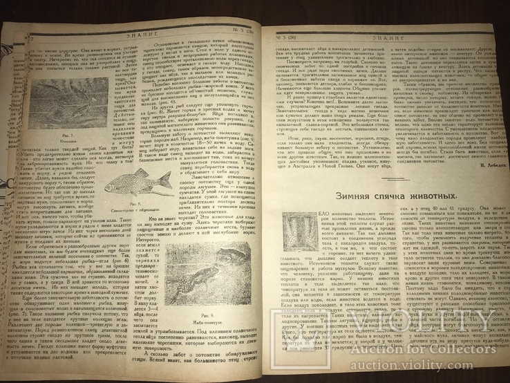 1924 Торговля в городах Украины, Знание 3, фото №9