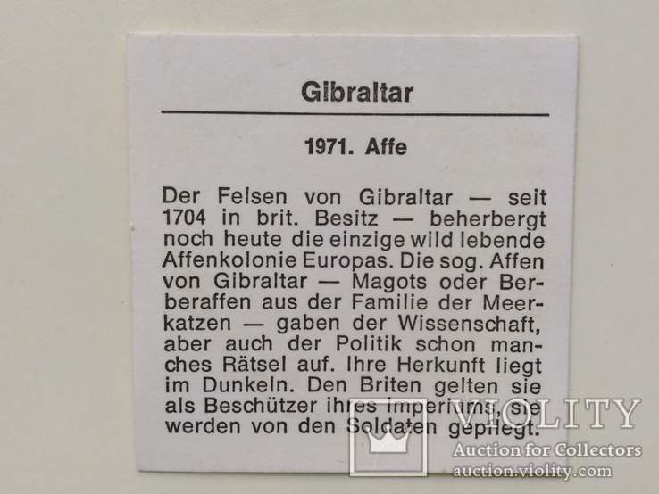 Гибралтар 25 новых пенсов, 1971 обезьяна,С198, фото №5