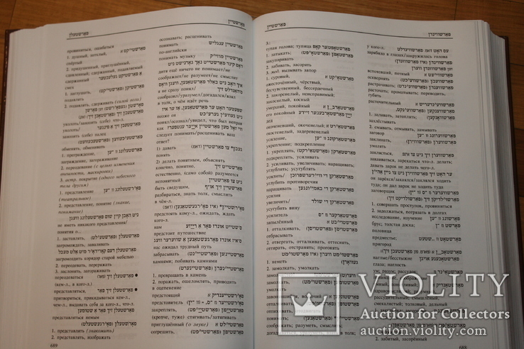 Тищенко Идиш - Русский еврейско - русский еврейский словарь, фото №5