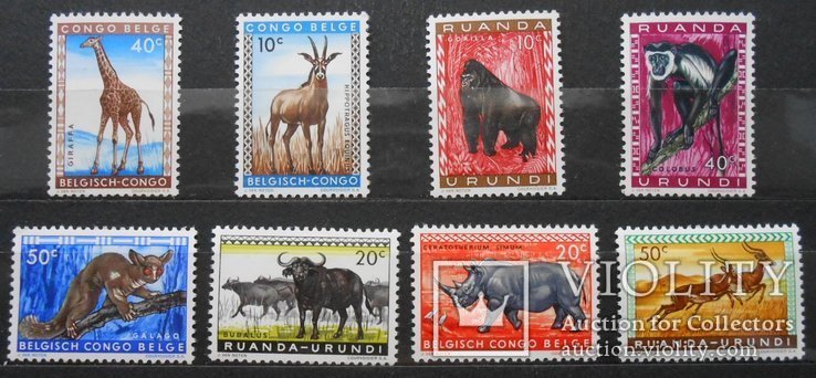 1968 г. Конго Руанда. Фауна Животные Африки (**) 8 марок