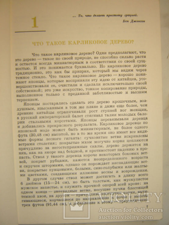 Выращивание карликовых деревьев по японскому способу., фото №4