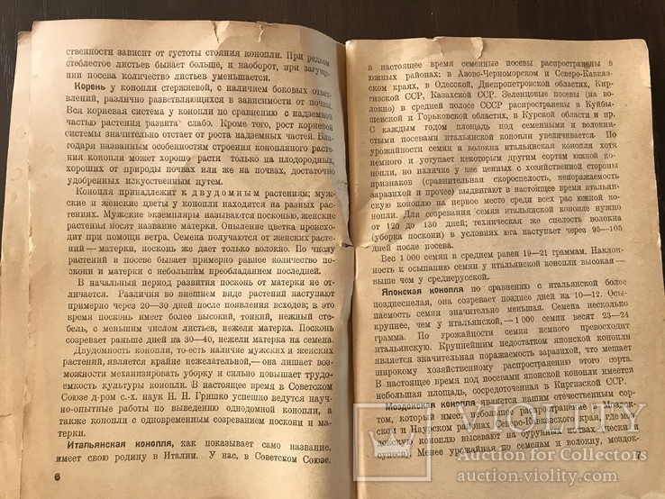 1937 Южная Конопля, фото №4