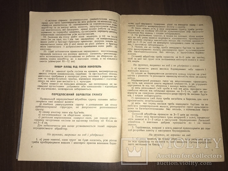1938 Конопля Агровказівки по культурі конопель, numer zdjęcia 5