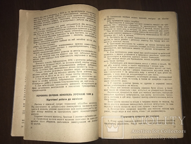 1938 Конопля Агровказівки по культурі конопель, numer zdjęcia 8