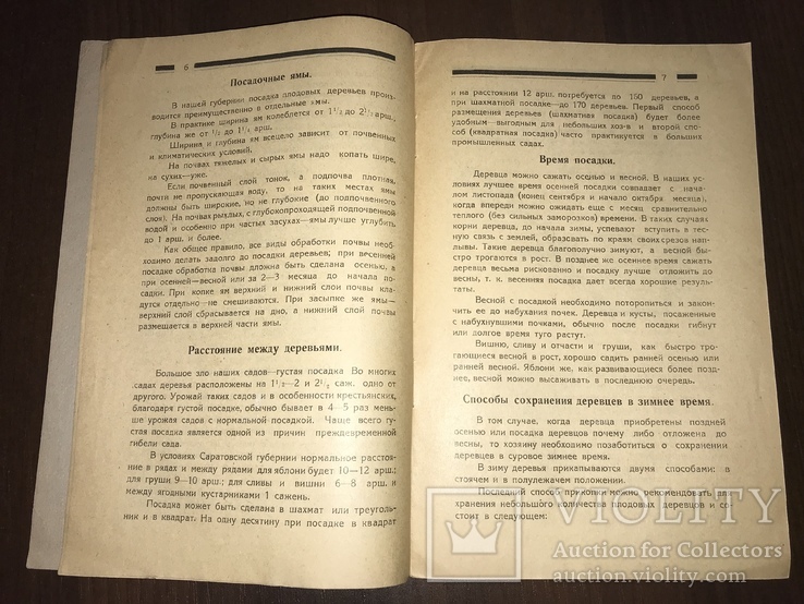 1926 Как заложить Плодовый Сад, фото №5