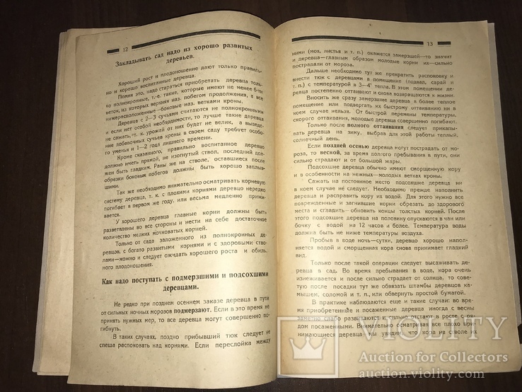 1926 Как заложить Плодовый Сад, фото №8
