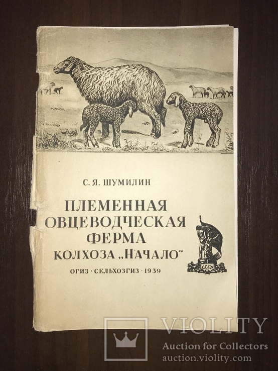 1939 Овцы Племенная Овцеводческая ферма, фото №2