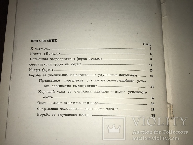 1939 Овцы Племенная Овцеводческая ферма, фото №11