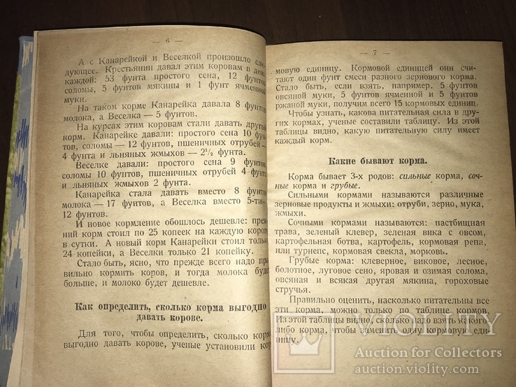 1926 Как от коровы получить больше Молока, фото №5