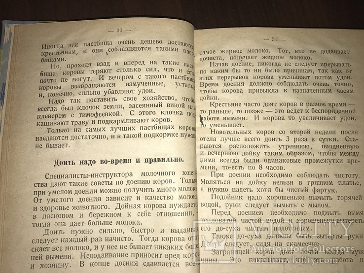 1926 Как от коровы получить больше Молока, фото №9