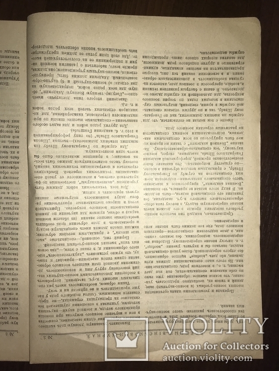 1919 Киевский Военный журнал, фото №4