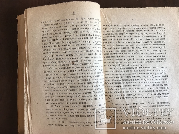 1919 Українська книга Дніпрова Чайка, фото №6