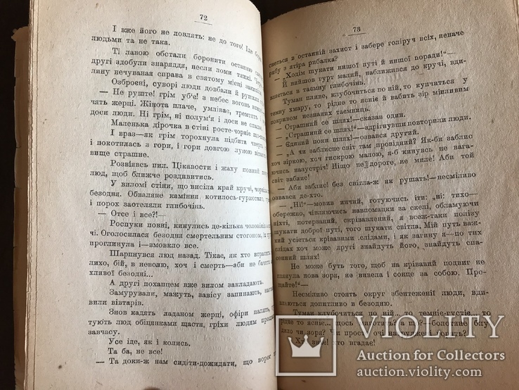 1919 Українська книга Дніпрова Чайка, фото №8