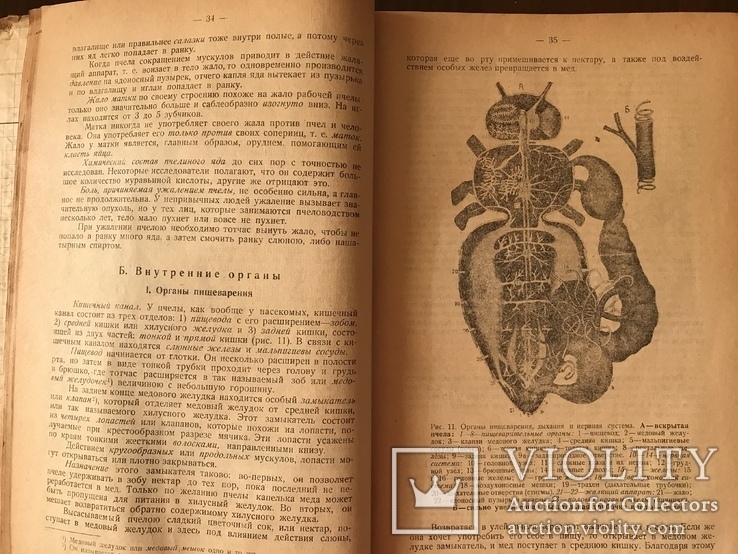 1924 Учебник Пчеловодства Уманский, фото №4
