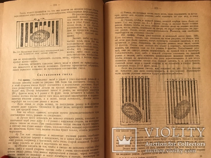 1924 Учебник Пчеловодства Уманский, фото №7