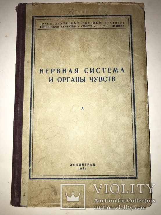 1956 Нервная Система для Военного Института Спорта, фото №11