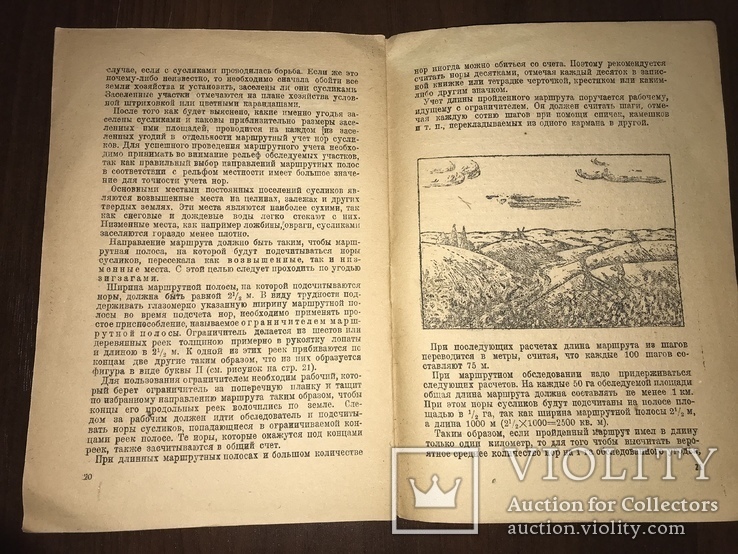 1934 Учёт Сусликов Актуальная книга, фото №6