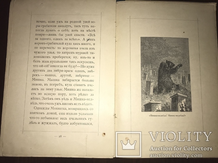 1913 Сказка о пчеле Мохнатке, фото №7