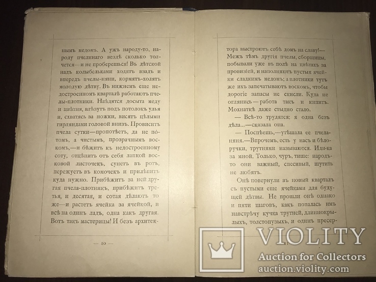 1913 Сказка о пчеле Мохнатке, фото №10