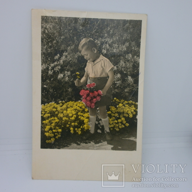 Фото Открытка Мальчик собирает букет. 1950-е, фото №2