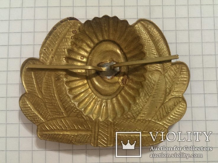 Turkmen cap badge (латунь) brass Messing Turkmenistan MützenAbzeichen MützenEmblem, фото №4