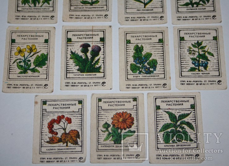 Спичечные этикетки серии "Лекарственные растения" 11 шт. 1977 г. (тираж 60 шт.), фото №5
