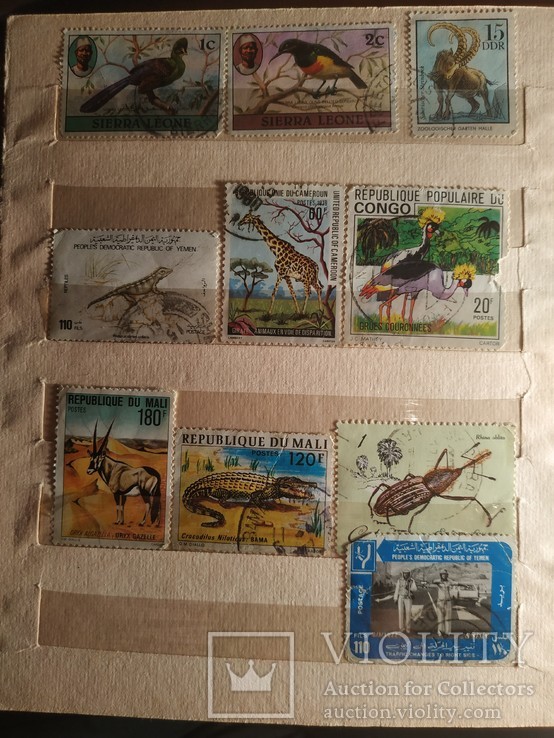 Почтовые марки 187 штук(флора,фауна,разные), фото №11