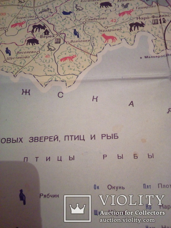 Московская область, карта для охотников и рыболовов", изд, ГУГК СССР 1982, фото №9