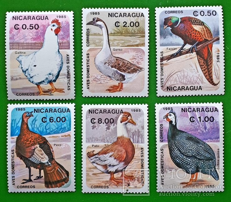 1985 Никарагуа Домашние птицы