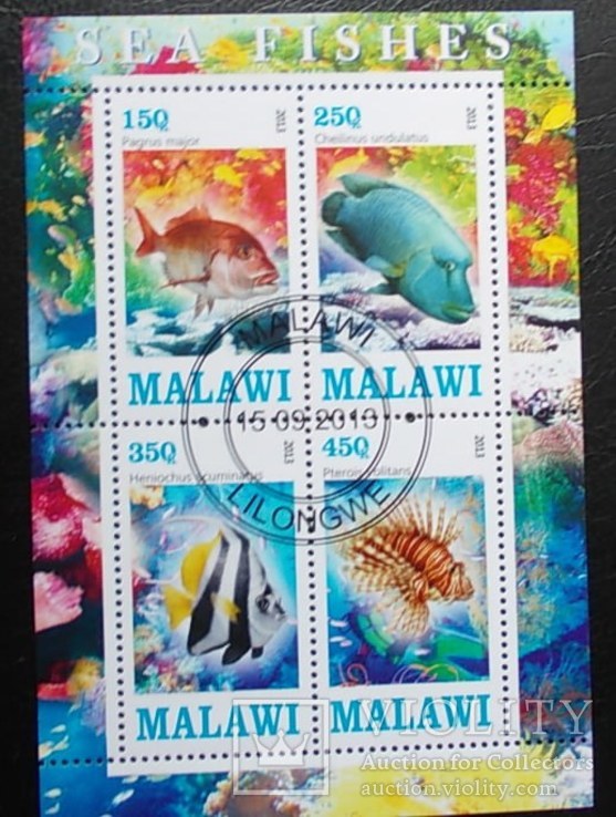 Африка Малави Морская Фауна Рыбы гаш.