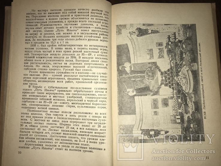 1941 Колхозный Дон на Всесоюзном осмотре, фото №5