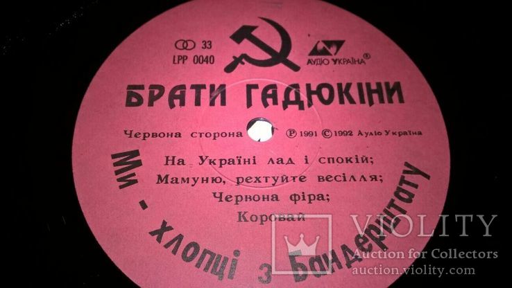 Брати Гадюкіни (Ми Хлопці З Бандерштату) 1991. (LP). 12. Vinyl. Пластинка. Аудіо Україна, фото №5