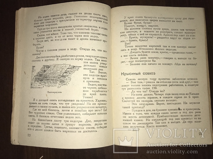 1932 Мех из болота Ондатра, фото №9