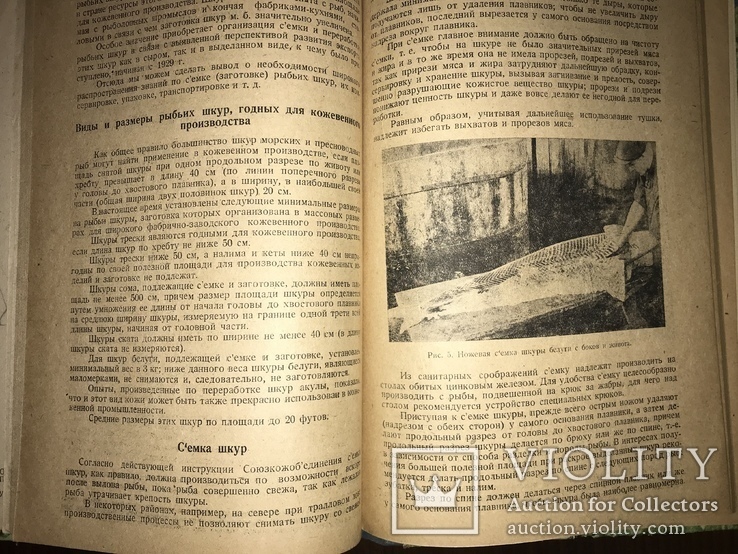 1932 Добыча Змей  Рогов оленей Кости Мамонта Морских зверей, фото №7