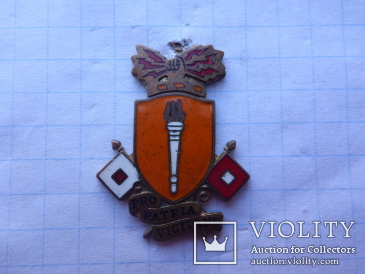 Signal School Unit Crest (Pro Patria Vigilans)