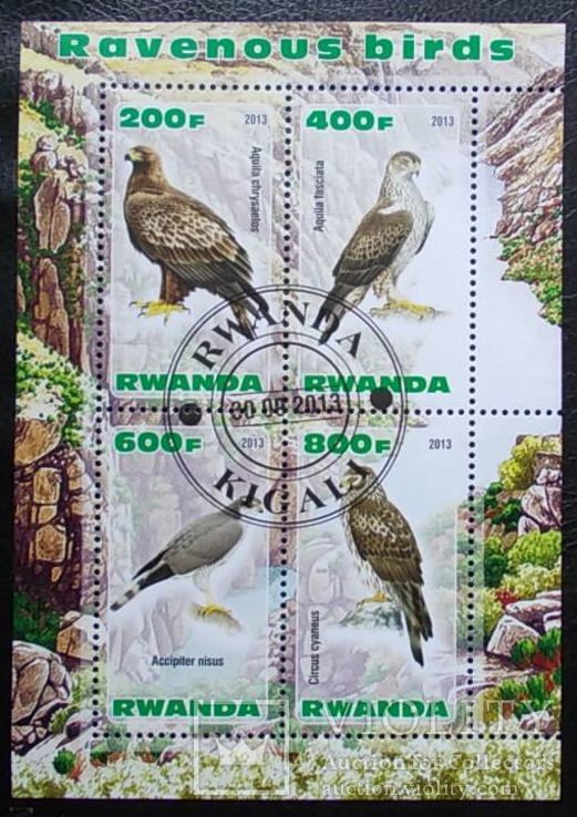 Африка Руанда Фауна Птицы гаш.