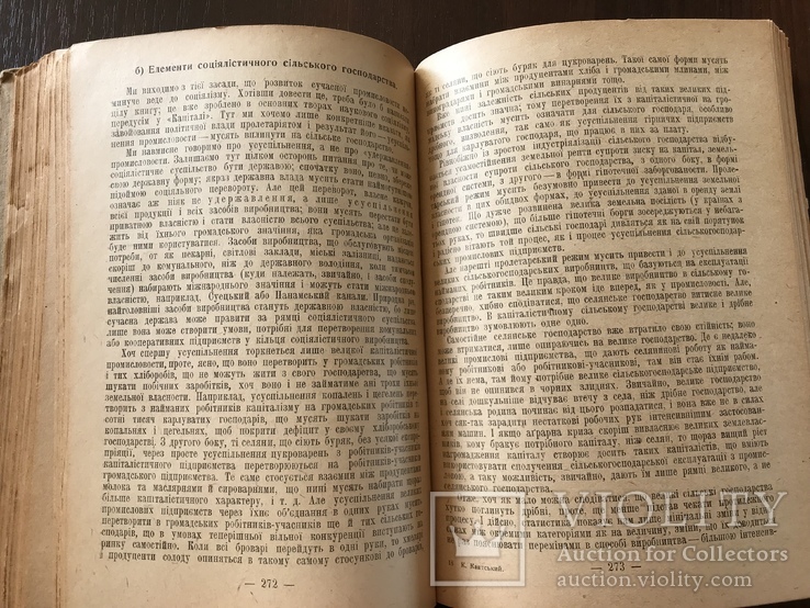 1931 Аграрне питання , переклад з німецької, фото №8
