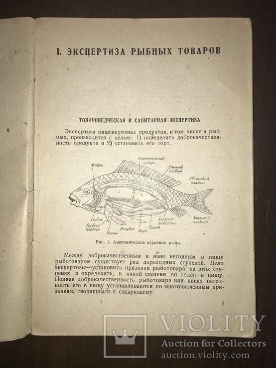 1936 Экспертиза Рыбных товаров, фото №2